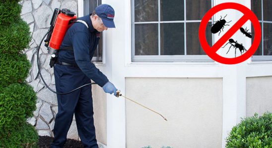 Eskipazar Karınca İlaçlama böcek ilaçlama ve haşere kontrolü — ilaclama-tr.com